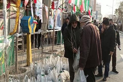 توزیع نهال رایگان در راه راهپیمایی ۲۲ بهمن