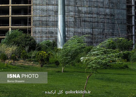 وزش باد نسبتا شدید در جنوب غرب تهران