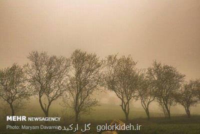 اخطار زرد و نارنجی و پیشبینی وقوع تندباد در استان مرکزی
