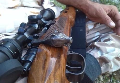۴ شکارچی متخلف در شهرستان تربت حیدریه دستگیر شدند