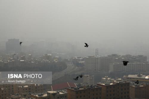 وضعیت زرد در ۱۸ ایستگاه سنجش کیفیت هوای تهران