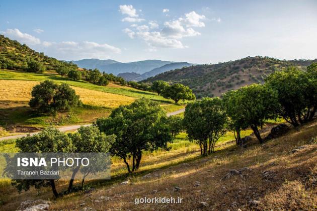 شناسایی مناطق جنگلی مستعد حریق