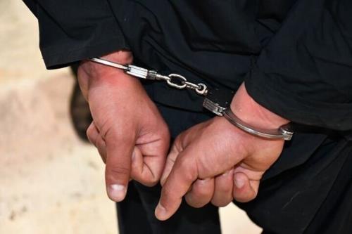 کشف لاشه 2 راس کل وحشی در آرادان