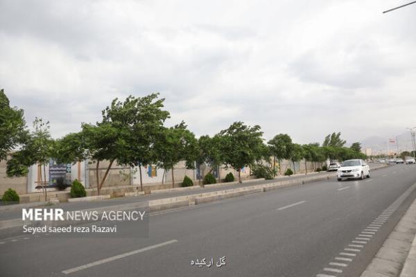 پیشبینی وزش باد و رگبار در بعضی از مناطق کشور