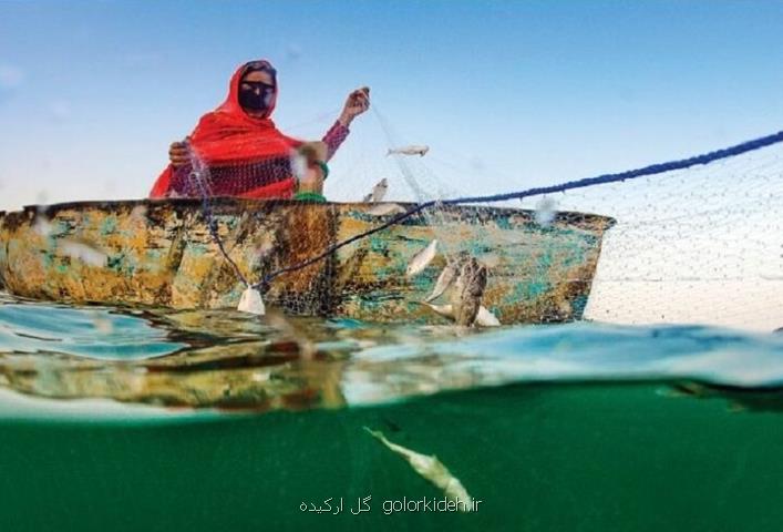 زنان نقش ویژه ای در محافظت از تالاب ها دارند