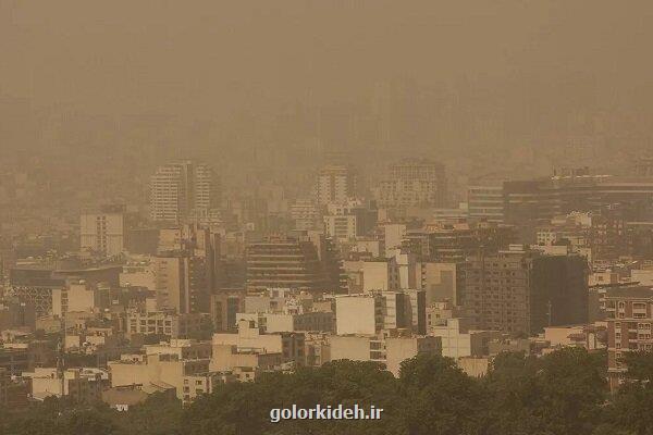 اجرای برنامه های تدوین شده مقابله با گردوغبار در ۲۹ استان کشور