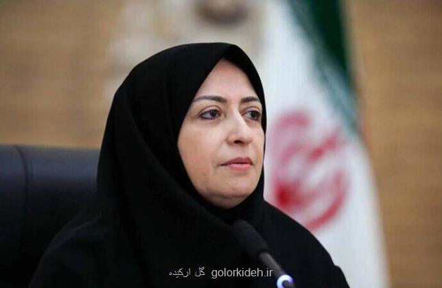 اجرای ضوابط محیط زیست در استانها باید با جدیت دنبال شود