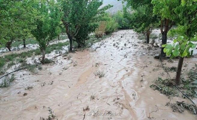 اخطار سازمان امداد و نجات برای سیلاب در بعضی نقاط کشور