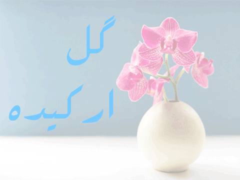 اخطار هواشناسی برای این مناطق کشور صادر شد