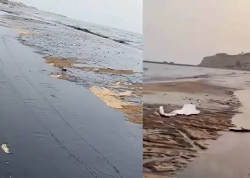 آلودگی نفتی به سواحل قشم رسید