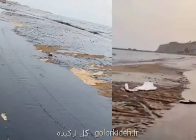 آلودگی نفتی به سواحل قشم رسید