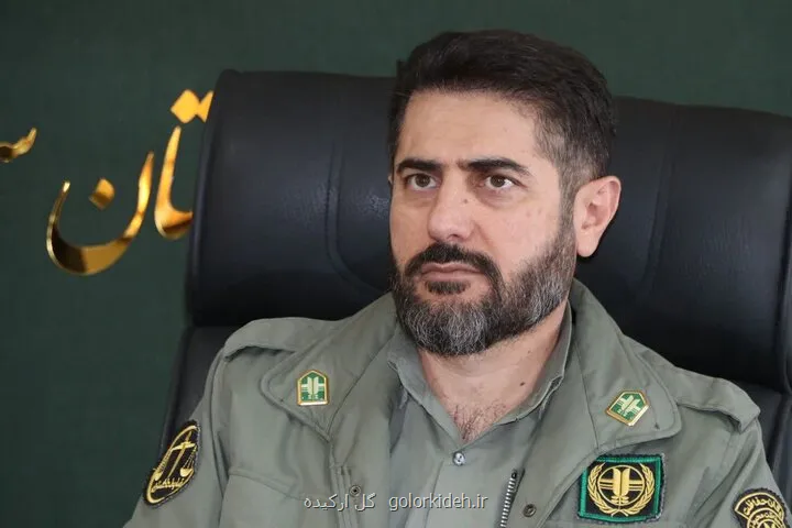شروع گاو بانگی و فصل عاشقی مرال ها در جنگلهای استان سمنان