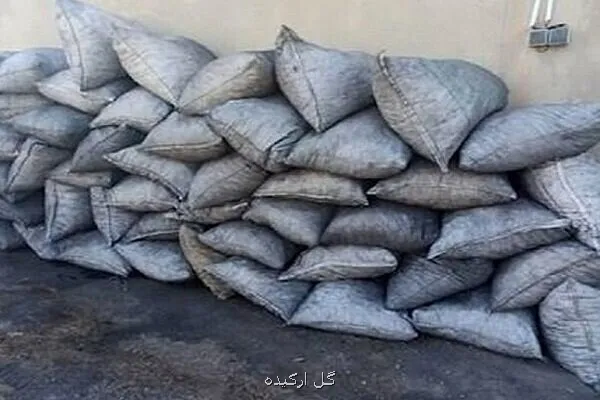 زخم سیاه زغال بر تن سبز جنگل ردپای کوره ها به بلوطستان رسید