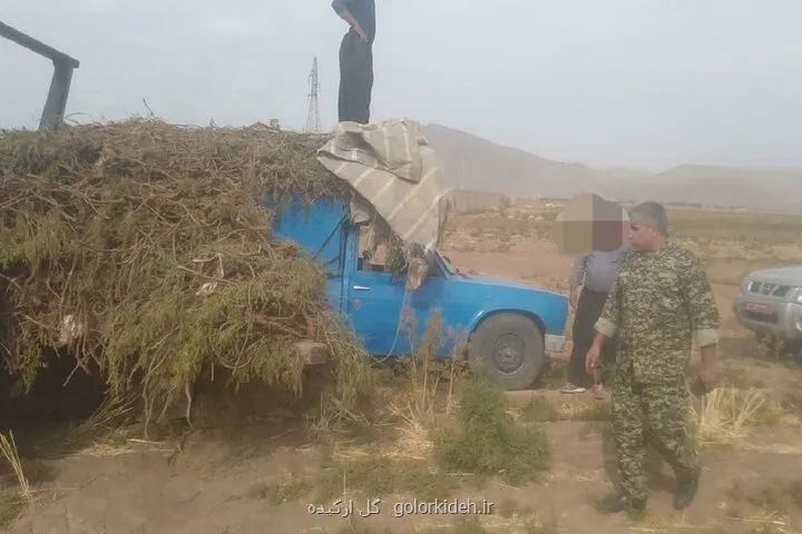 کشف محموله یک تنی در خرم آباد از ریشه های شیرین تا زخم تلخ بر تن طبیعت