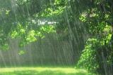 آسمان ایران از جمعه بارانی می گردد