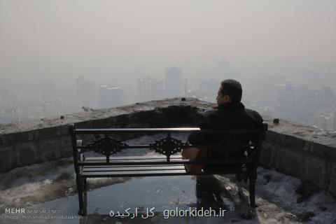 هوای تهران سالم می باشد