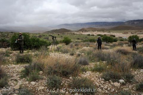 كارگاه پرنده نگری در بوشهر برگزار گردید