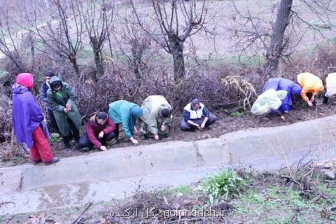 كاشت بذر، پشتیبانی از محیط بانان و پاكسازی طبیعت در روز جهانی خاك