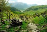 دو طرح موازی برای نابودی زاگرس، صدور مجوز برای كوه خواری در كشور