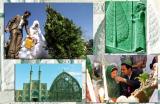چرا درخت سرو بر دیواره های كاخ پرسپولیس حكاكی شده؟