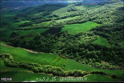 مدیریت سنتی جنگلهای هیركانی متوقف شود، نظر كارشناسان آزاد لحاظ نشد