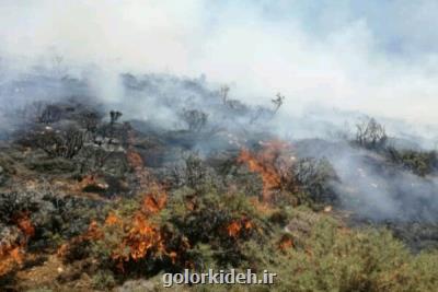 95 درصد آتش سوزی جنگل های كشور عامل انسانی دارد