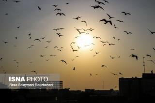 تهران در بعضی ساعات برای حساس ها ناسالم می شود
