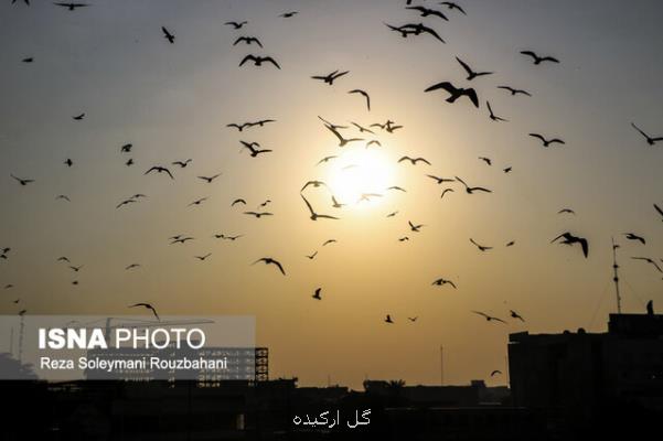 تهران در بعضی ساعات برای حساس ها ناسالم می شود