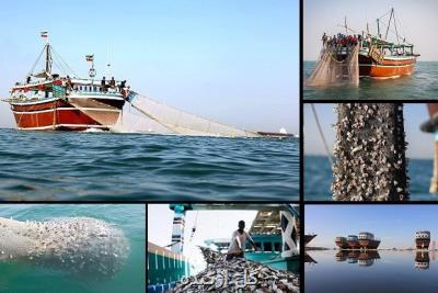 مصائب دریای جنوب از نابودی آبزیان تا انواع آلودگی نفتی و غیرنفتی
