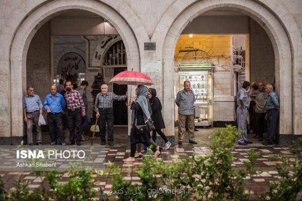 بارش پراكنده باران در شمال كشور