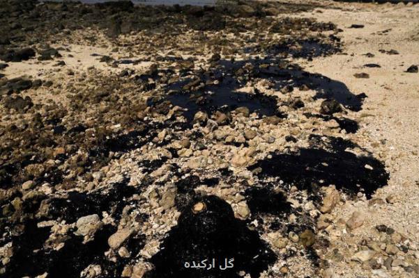 طغیان آلودگی های نفتی در خلیج فارس