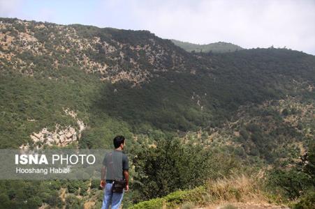سهم استان سمنان از جنگل های هیركانی چقدر است؟