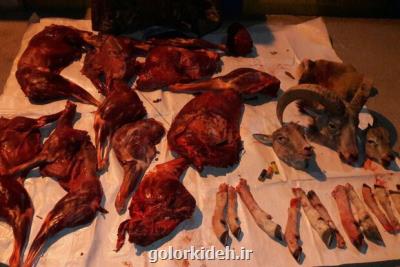 دستگیری شكارچیان غیر مجاز در سرخه