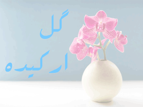 تبریك روز درختكاری به سبك موزه ملی ایران
