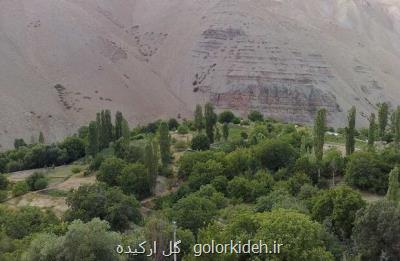 برخورد با دامداران فاقد پروانه برابر با قانون