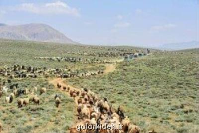 اخراج بیست هزار واحد دامی غیر مجاز از مراتع شهر ری